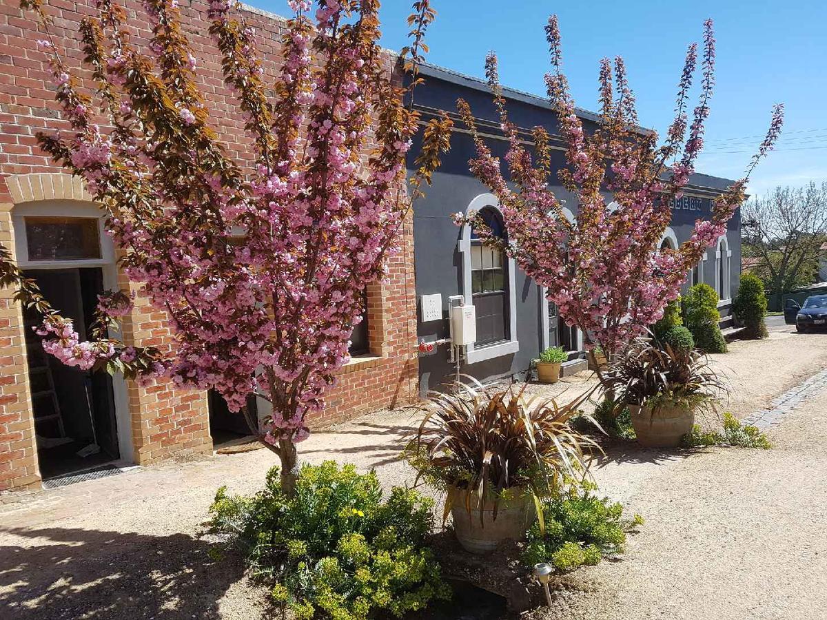 Albert Hotel Daylesford Εξωτερικό φωτογραφία